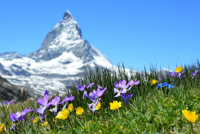 Scenic view of the Swiss Alps